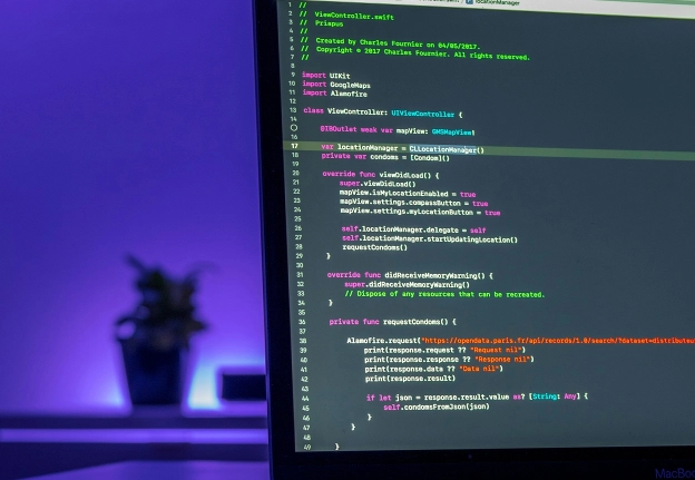 Écran d’ordinateur affichant du code source, avec une plante en pot et un éclairage violet en arrière-plan.