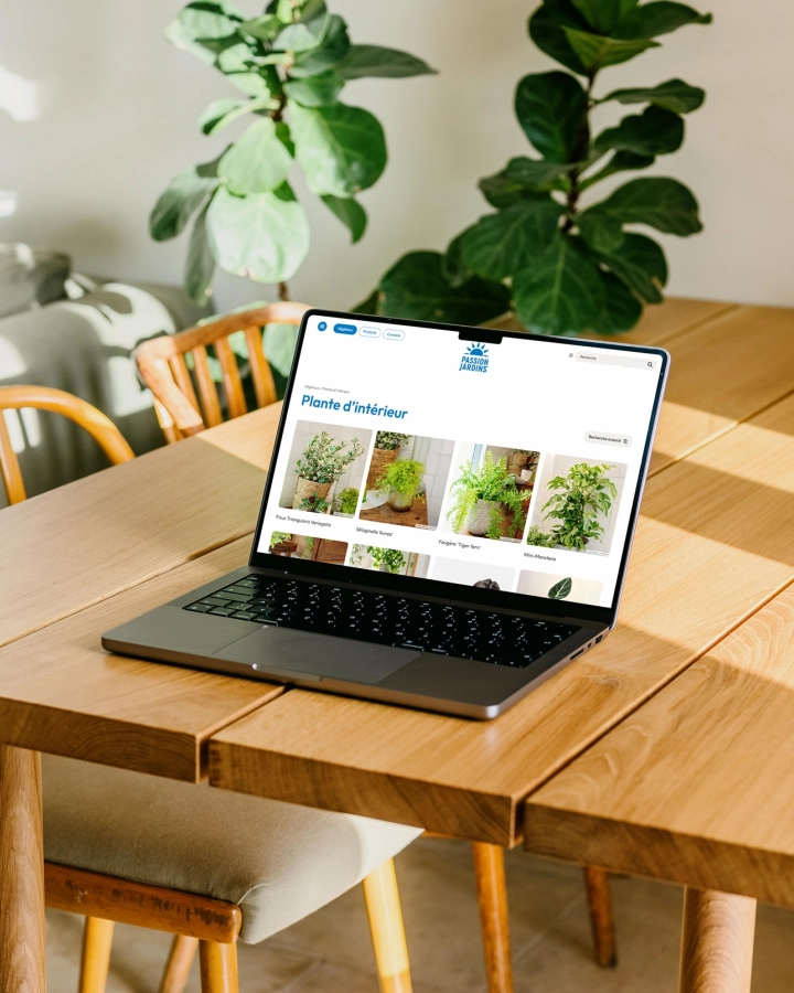 Un ordinateur portable affiche une page intitulée « Plantes d’intérieur » avec des photos de plantes, posé sur une table en bois entourée de plantes d’intérieur.